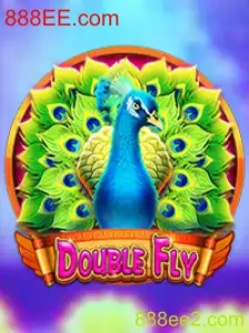 DoubleFly: Uma Introdução ao Jogo Inovador
